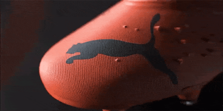 Puma king gif top